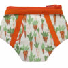 SLIP carottes